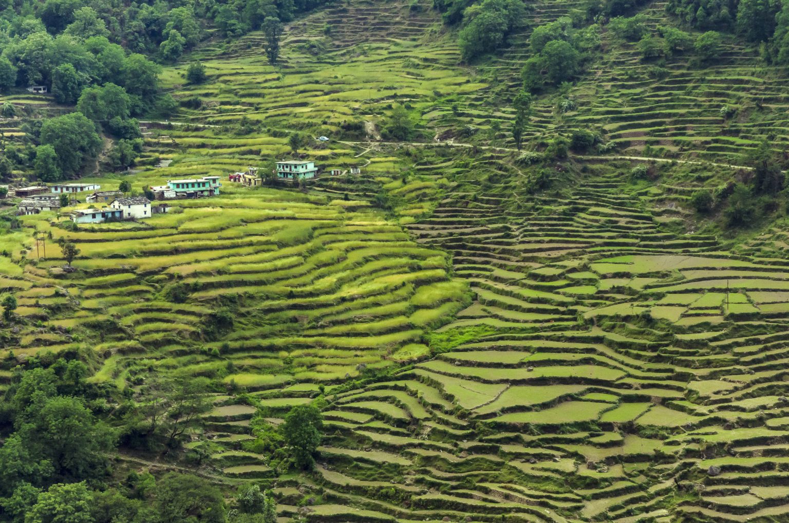 Des Conseils Pour Un Voyage En Inde Du Nord Ce Qu il Faut Savoir des-conseils-pour-un-voyage-en-inde-du-nord-ce-qu-il-faut-savoir