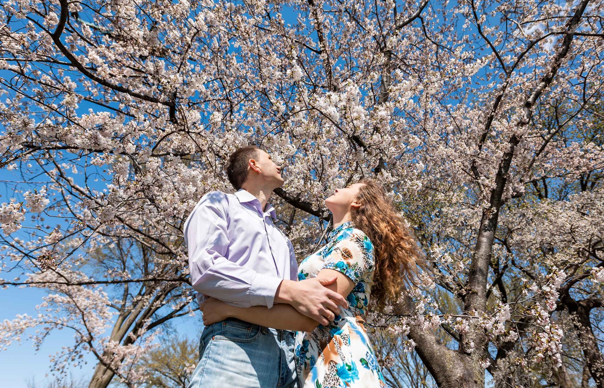 Votre voyage de noces au Japon