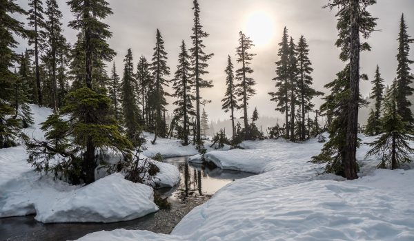 Voyage en Laponie : découvrez ce paradis hivernal