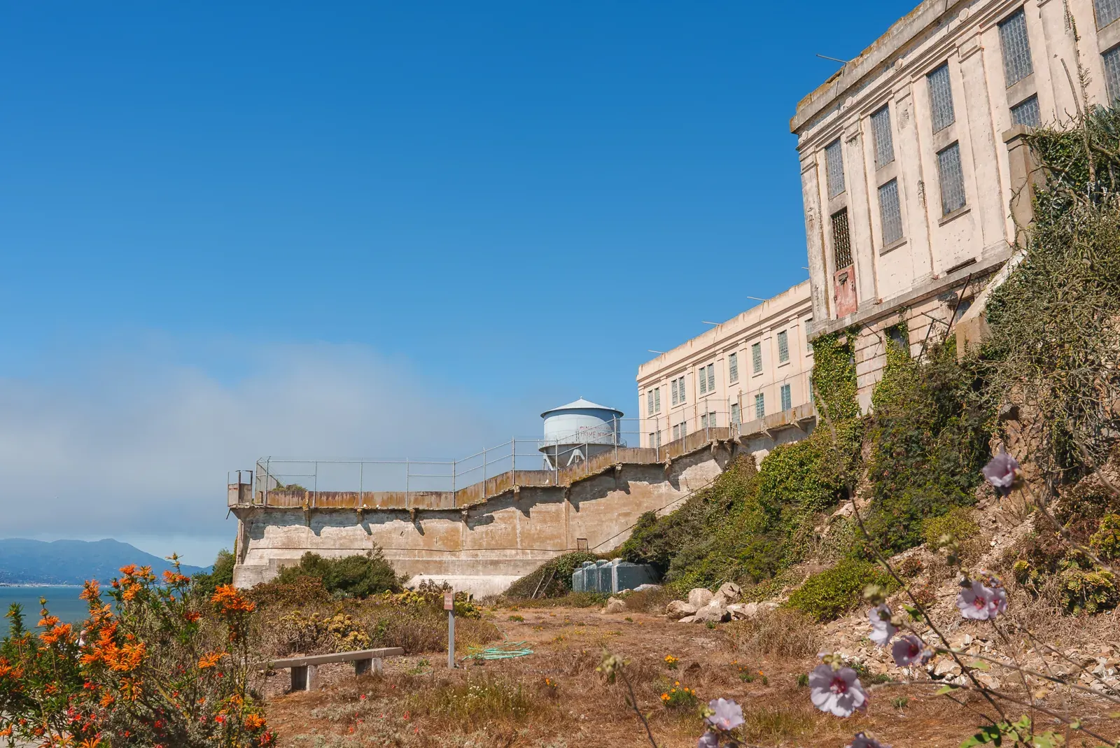 Façade du pénitencier d'Alcatraz et château d'eau, parmi les fleurs sauvages de l'île
