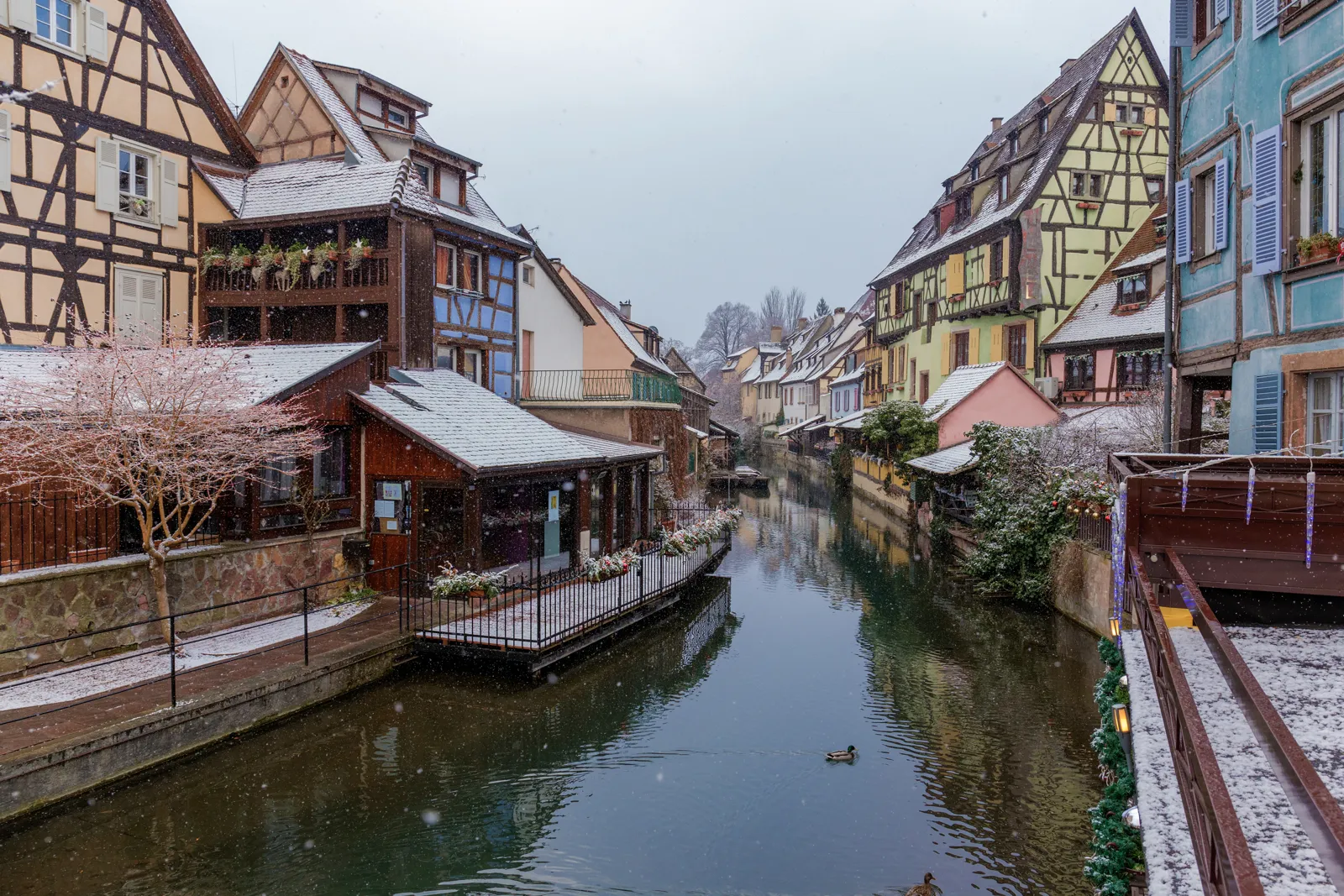 Maisons à colombages typiques de Colmar en Alsace