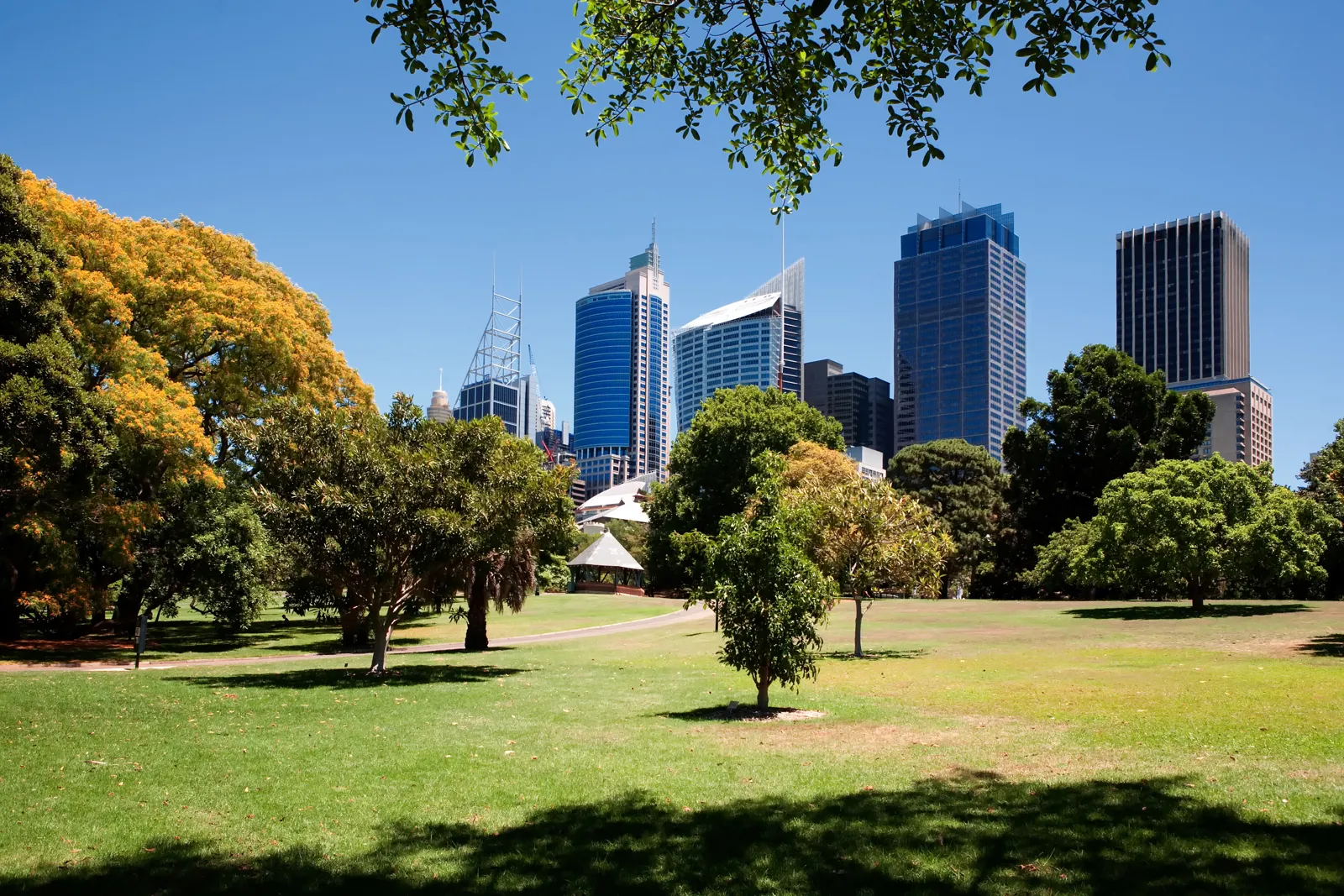 Voyage en Australie : guide pratique, itinéraires et budget Les Jardins botaniques royaux de Sydney en Australie