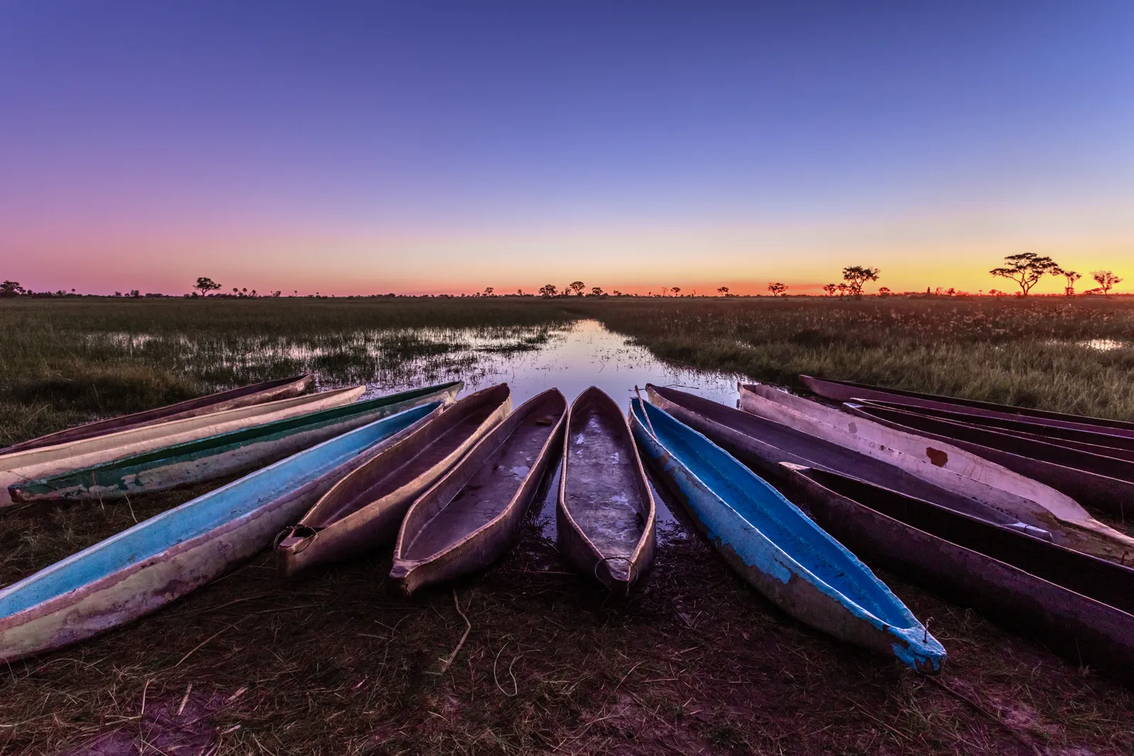 Traditional mokoros on the bank of the Okavango Delta at sunset