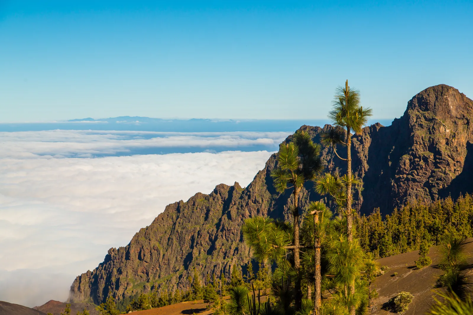 Mount Teide volcano above the clouds in Tenerife