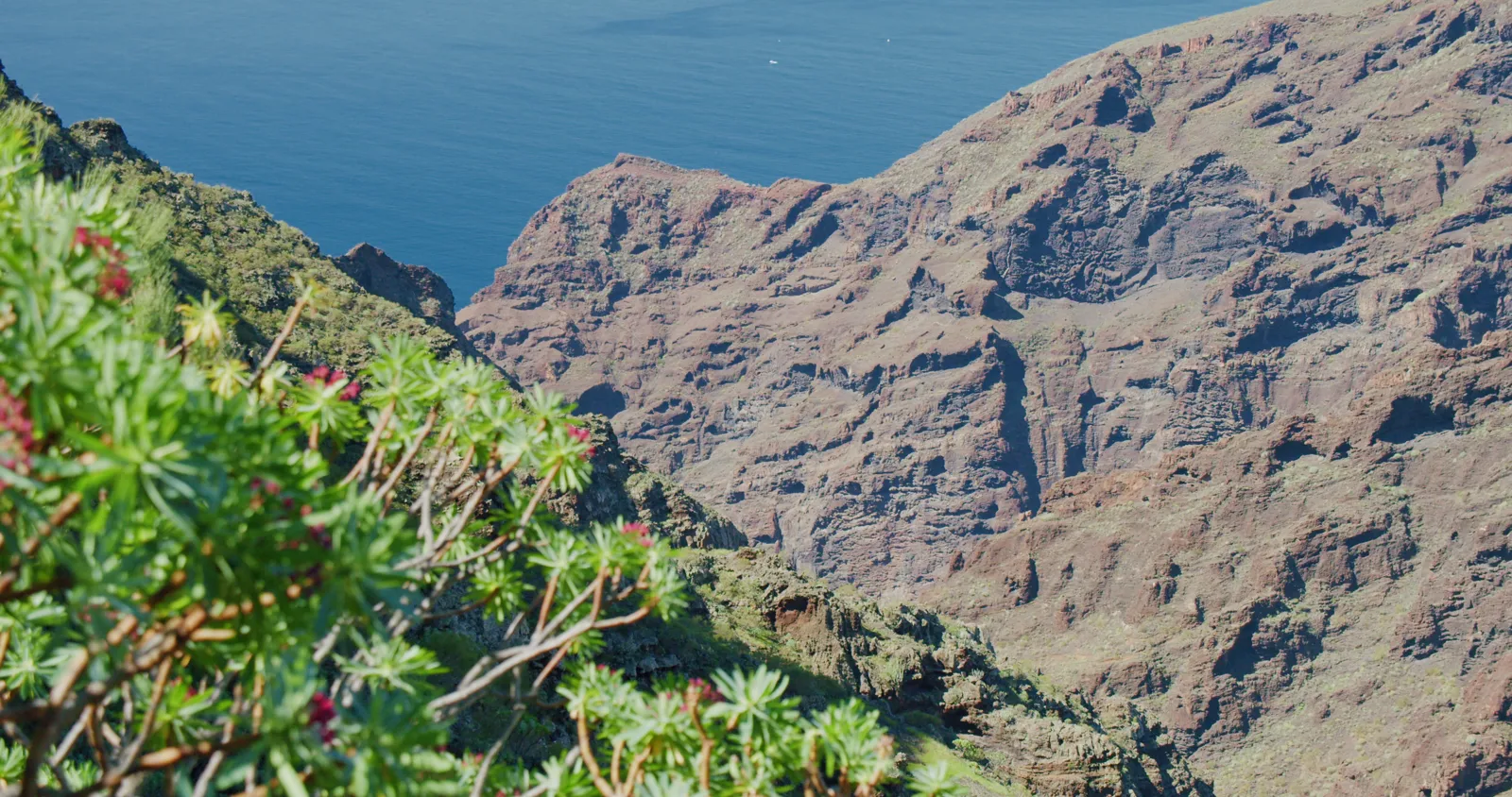 Voyage aux Canaries : guide pratique, îles, itinéraires et budget Gorge et plage de Masca dans le massif de Teno, à Tenerife aux Canaries