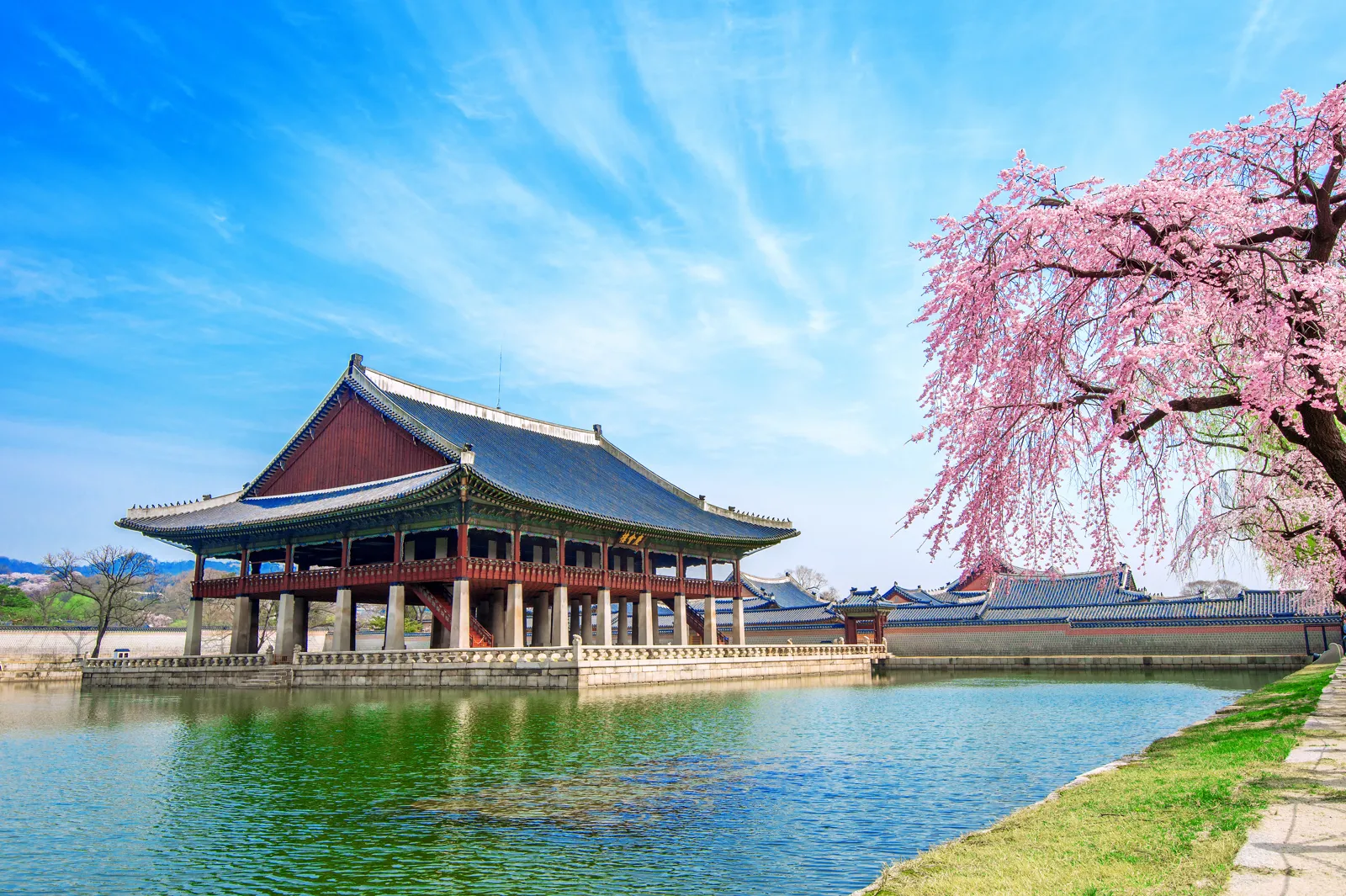 Quand partir en Corée du Sud ? Meilleure période et climat mois par mois Cerisiers en fleurs au palais Gyeongbokgung au printemps en Corée du Sud