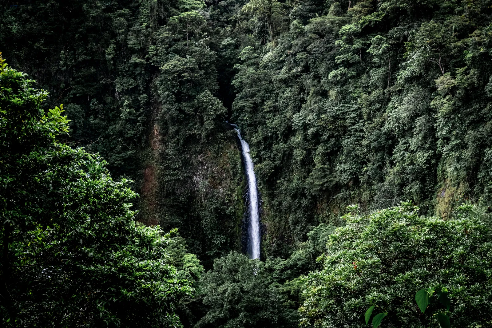 Voyage au Costa Rica : guide complet, itinéraires et conseils pratiques La cascade de La Fortuna au milieu de la forêt, au Costa Rica