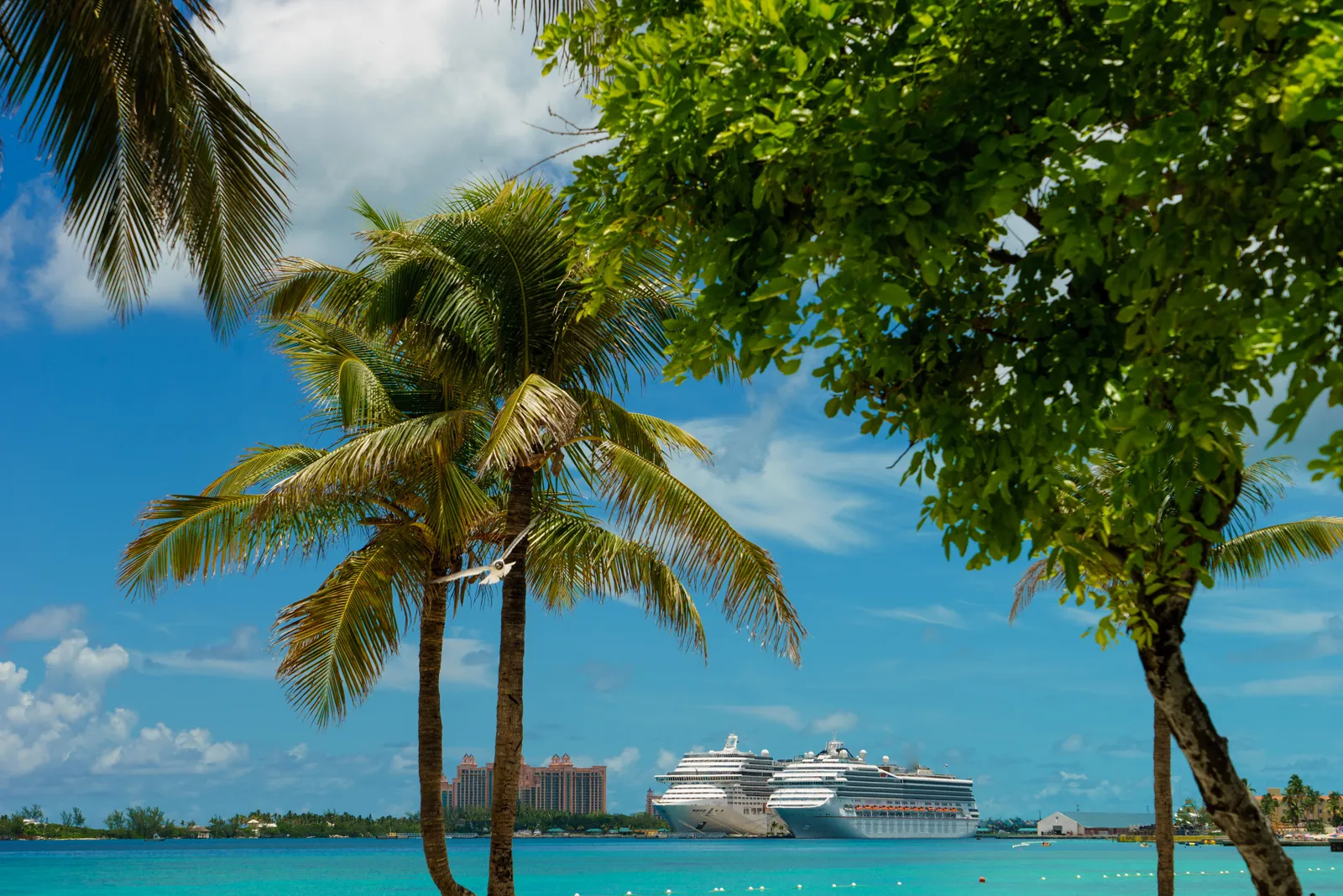 Croisière aux Bahamas au départ de Miami Deux paquebots de croisière dans les eaux turquoise des Bahamas