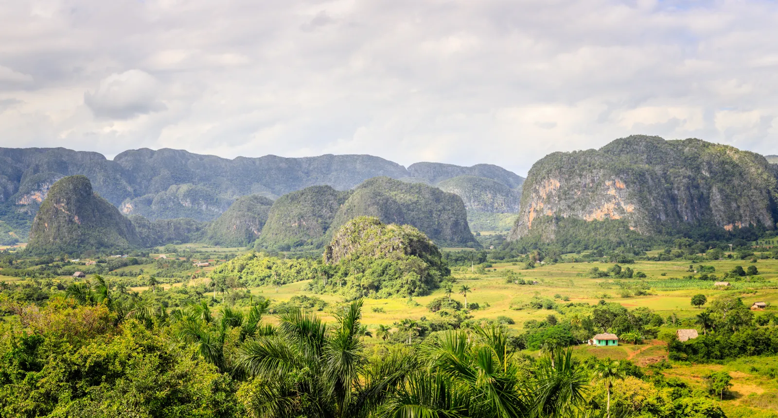The Viñales Valley and its mogotes, Cuba