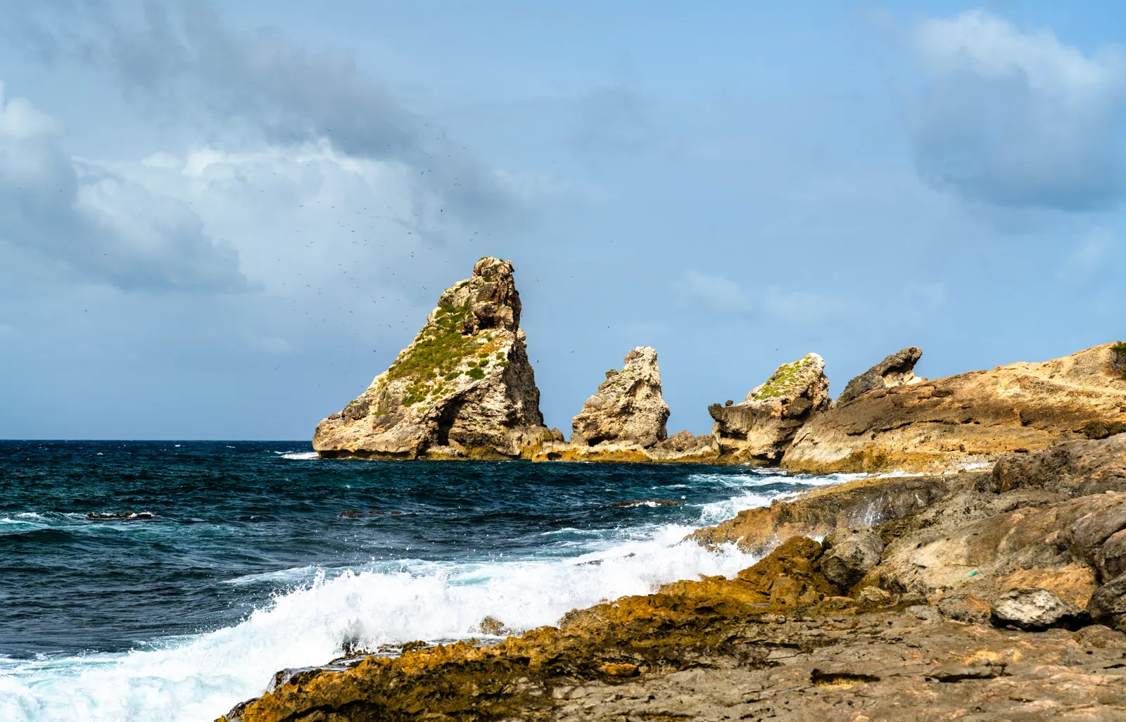 Côte rocheuse et aiguilles calcaires de la Pointe des Châteaux en Guadeloupe
