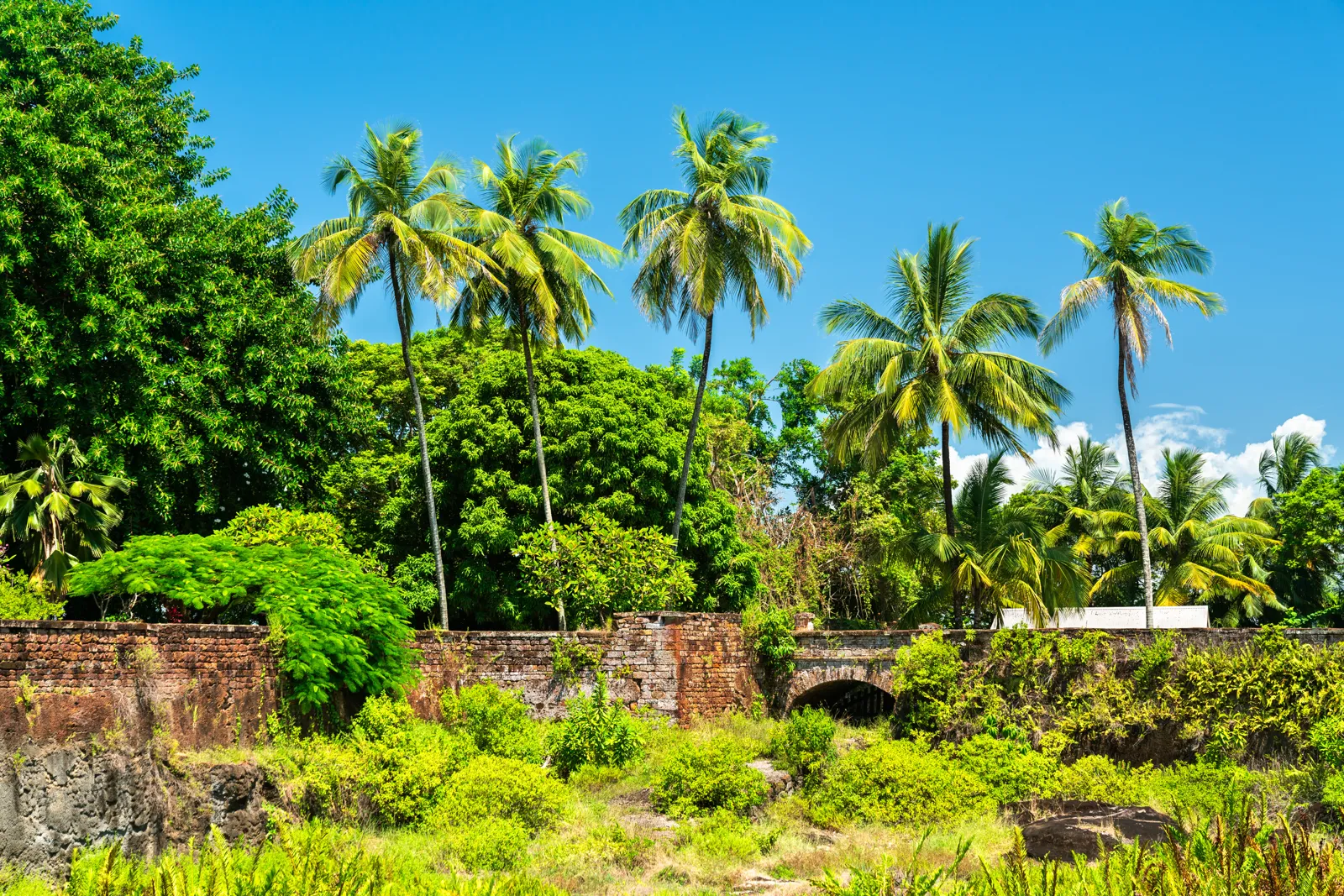 Voyage en Guyane : guide pratique, itinéraires et budget Vestiges du bagne sur l'île Royale, îles du Salut en Guyane