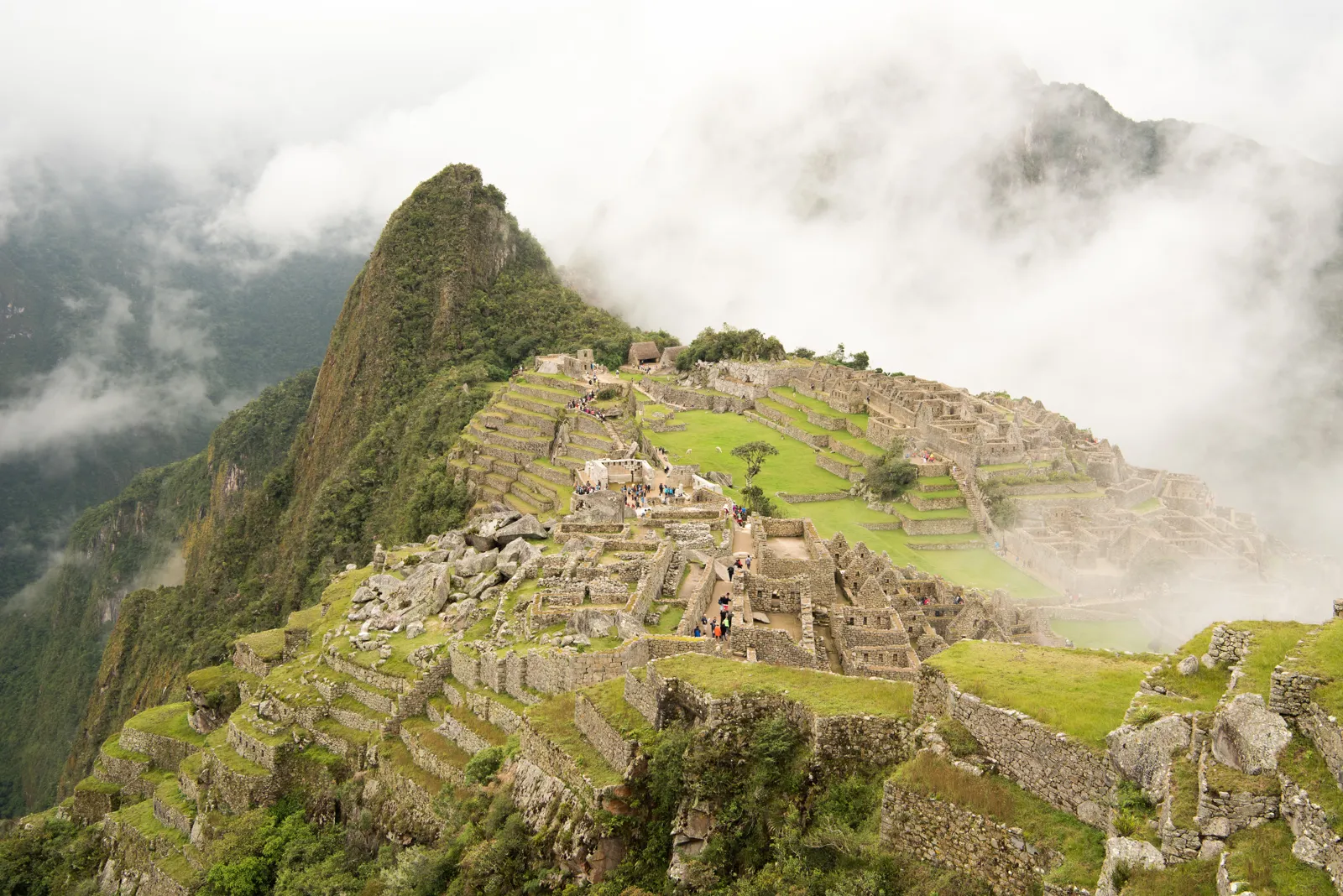Visiter le Machu Picchu : billets, circuits, accès et meilleure période La citadelle inca du Machu Picchu entourée de montagnes dans la brume au Pérou