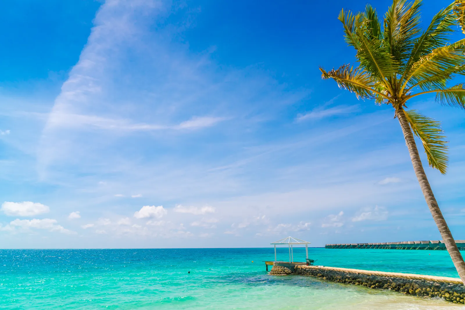 Plage de sable blanc bordée de palmiers sur une île des Maldives