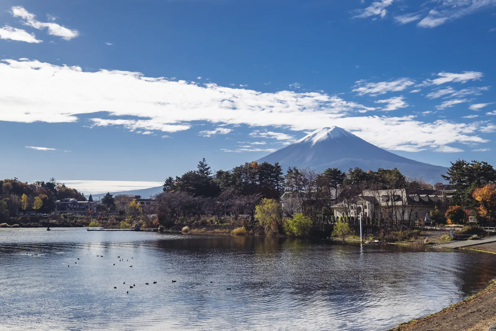 Snow-capped Mount Fuji above Lake Kawaguchi in autumn