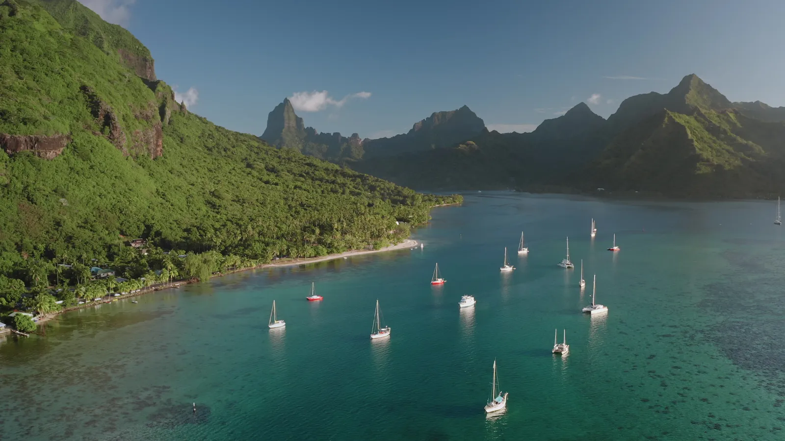 Voiliers au mouillage dans la baie d'Opunohu entourée de montagnes vertes, à Moorea