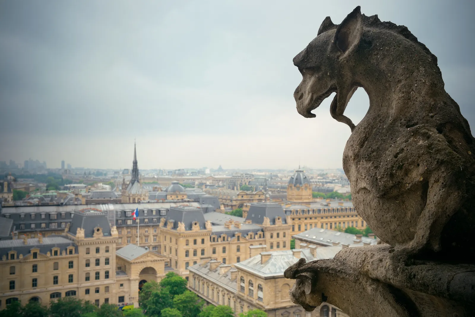 Chimère de la galerie des tours de Notre-Dame dominant les toits de Paris