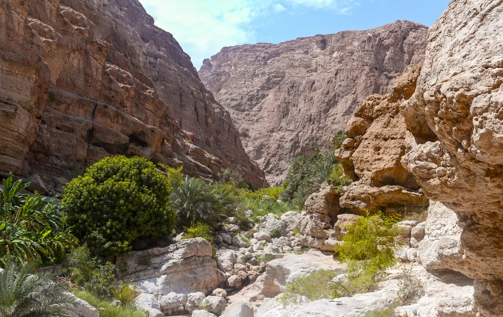 Le canyon du Wadi Shab à Oman
