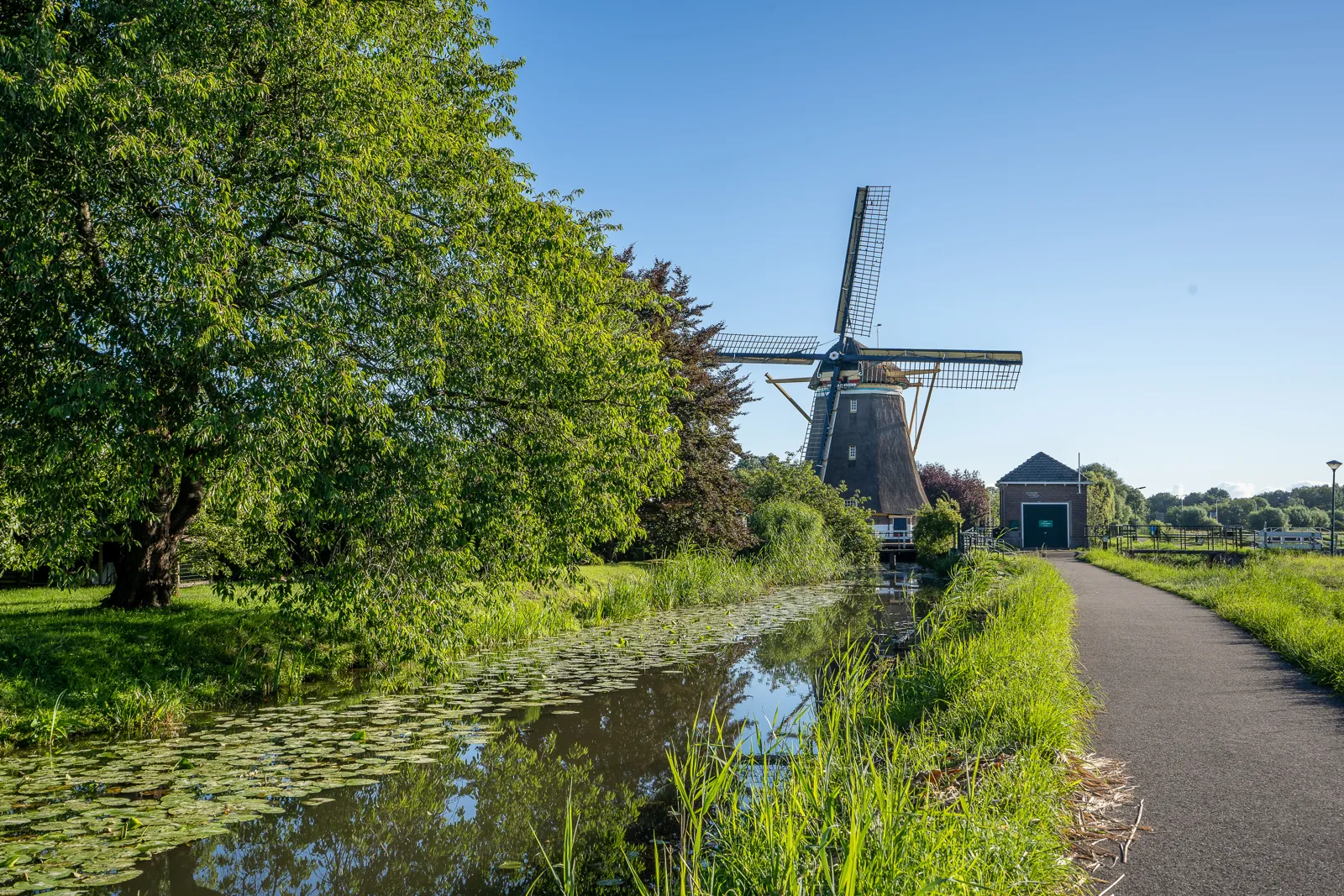 Quand partir aux Pays-Bas ? Meilleure période et climat mois par mois Les moulins à vent de Kinderdijk aux Pays-Bas