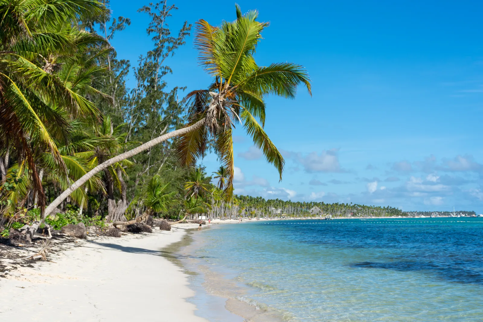 Quand partir à Punta Cana ? Meilleure période et climat mois par mois Plage de Punta Cana bordée de cocotiers et d'eaux turquoise