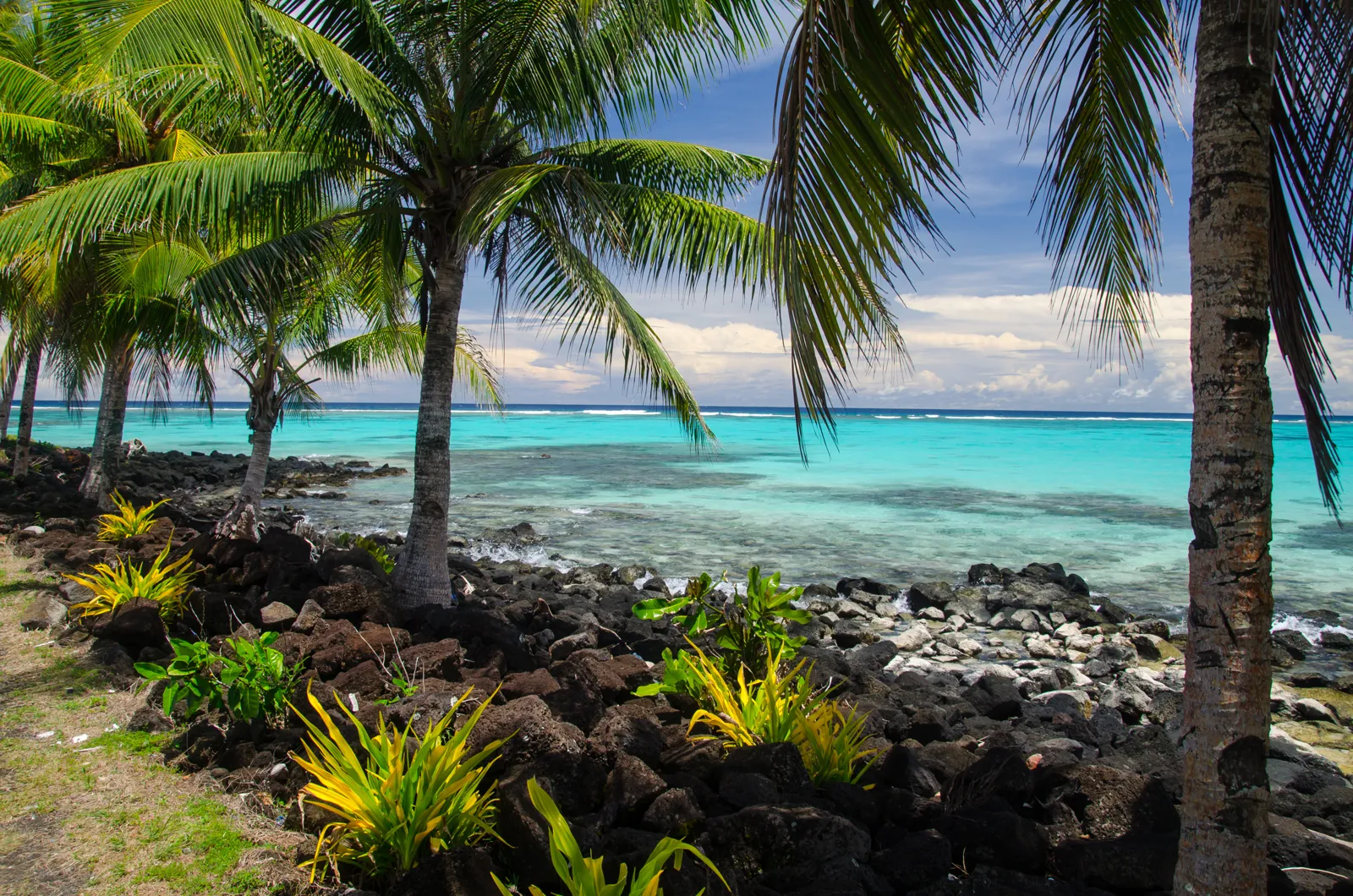 Samoa travel guide: Upolu, Savai'i, entry requirements and best time to go Plage bordée de cocotiers sur l'île de Savai'i aux Samoa