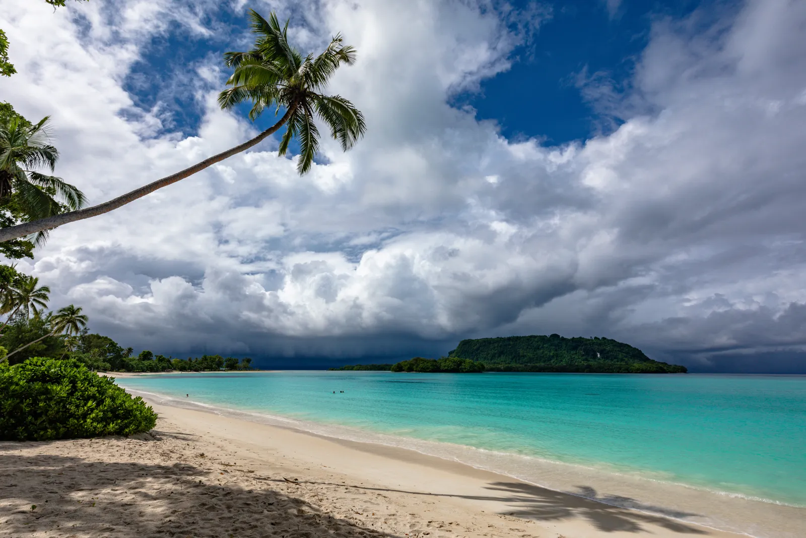 Voyage au Vanuatu : îles, volcans et meilleure période Plage de sable blanc et cocotiers de Port Orly sur l'île d'Espiritu Santo, au Vanuatu