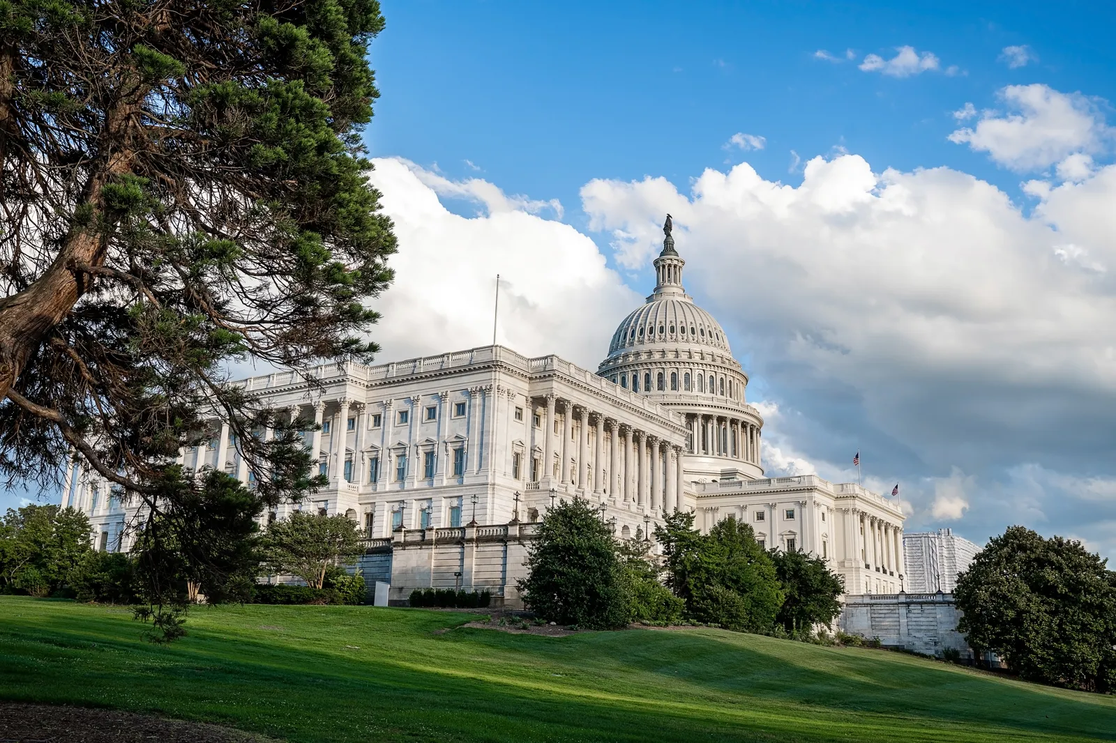 Que faire à Washington : visites, quartiers, quand partir Le Capitole des États-Unis à Washington