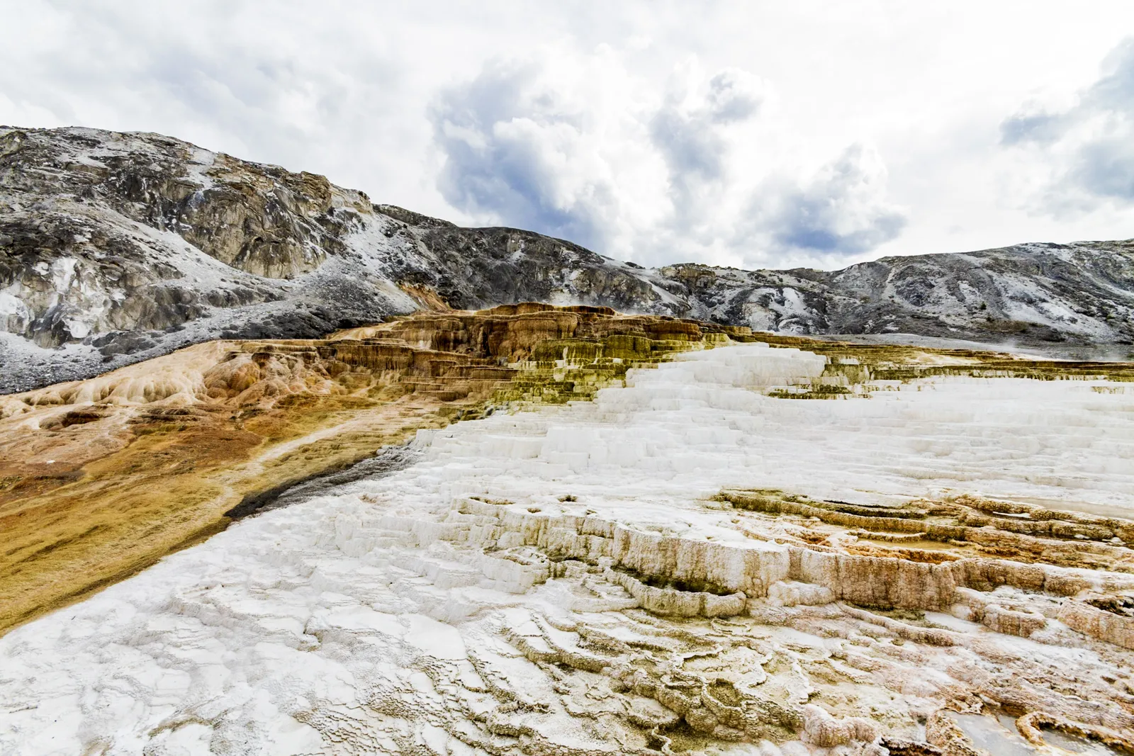 Visiter Yellowstone : accès, routes, tarifs et meilleure période Les terrasses de sources chaudes du parc national de Yellowstone
