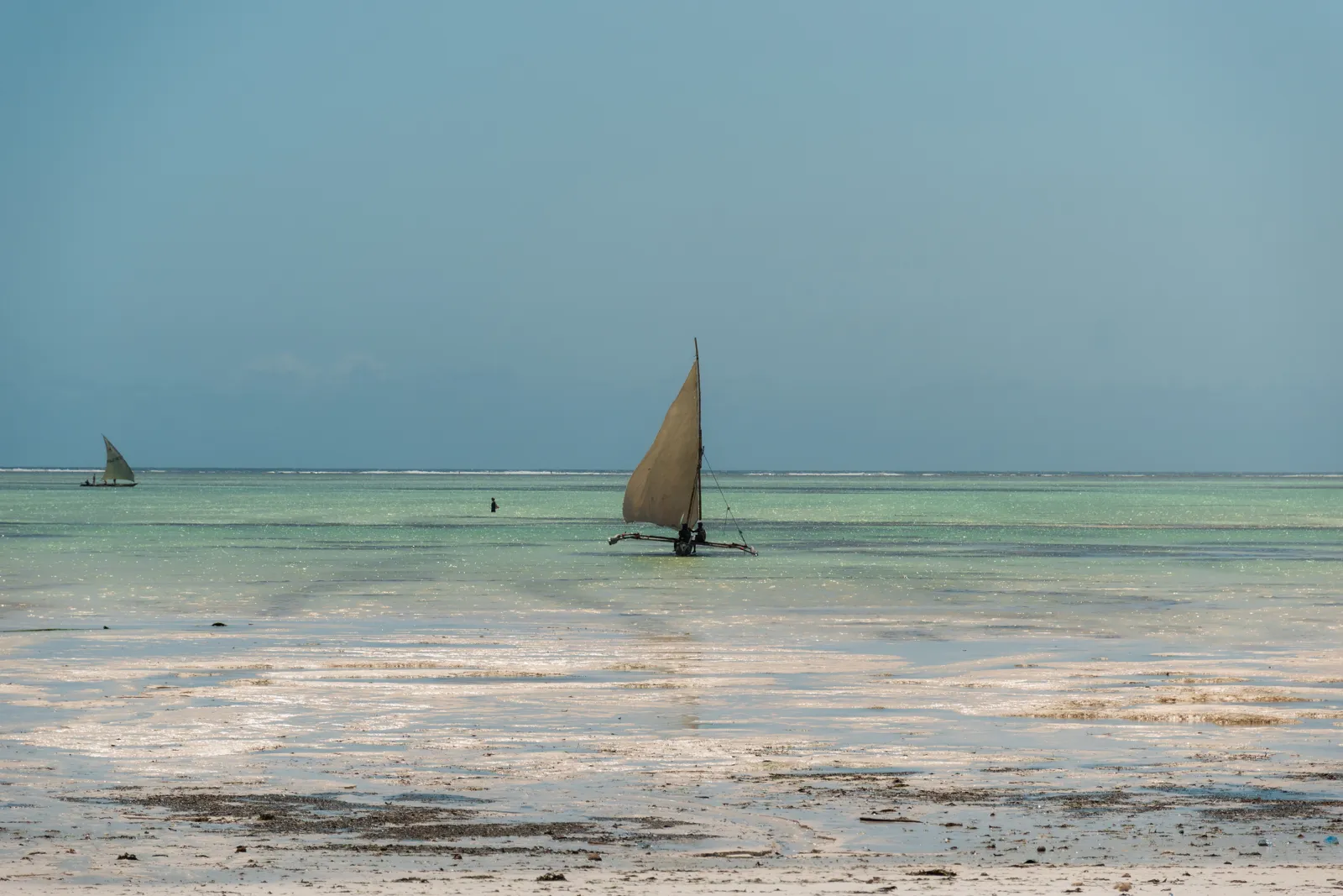 Boutres traditionnels naviguant sur les eaux turquoise de Zanzibar